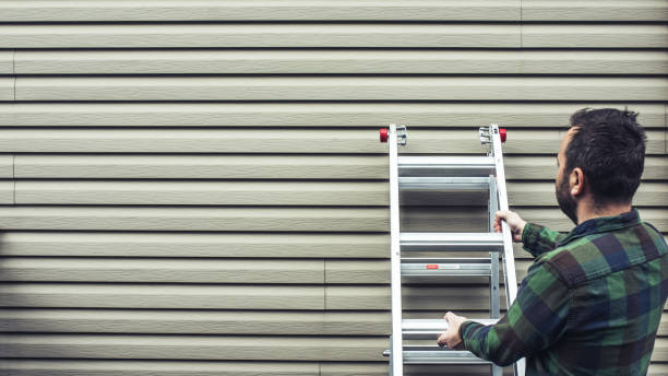Best Insulated Siding Installation  in Grass Lake, MI