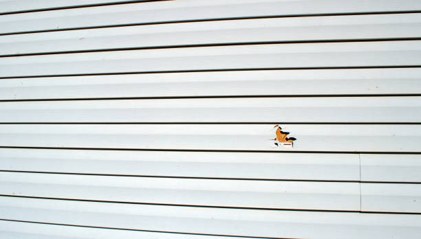 Affordable siding repair and maintenance services in Grass Lake, MI